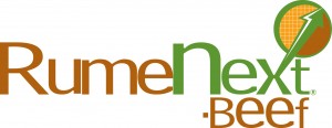 RumeNext logo 0210_Beef