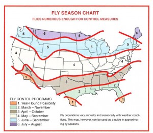 fly control chart